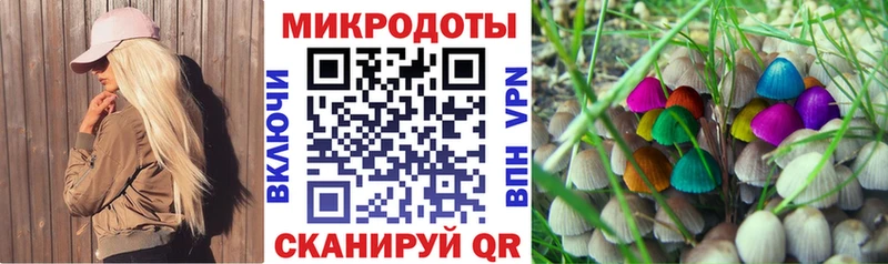 дарнет шоп  Черноголовка  hydra сайт  Галлюциногенные грибы прущие грибы 