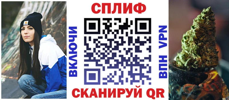 Канабис планчик Черноголовка